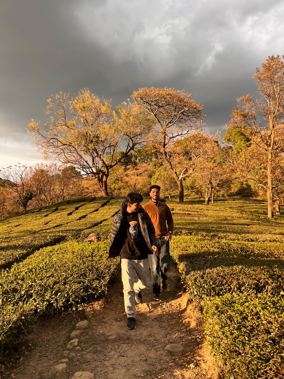 CEFA0965-68BE-4430-976D-4D2C770DA778